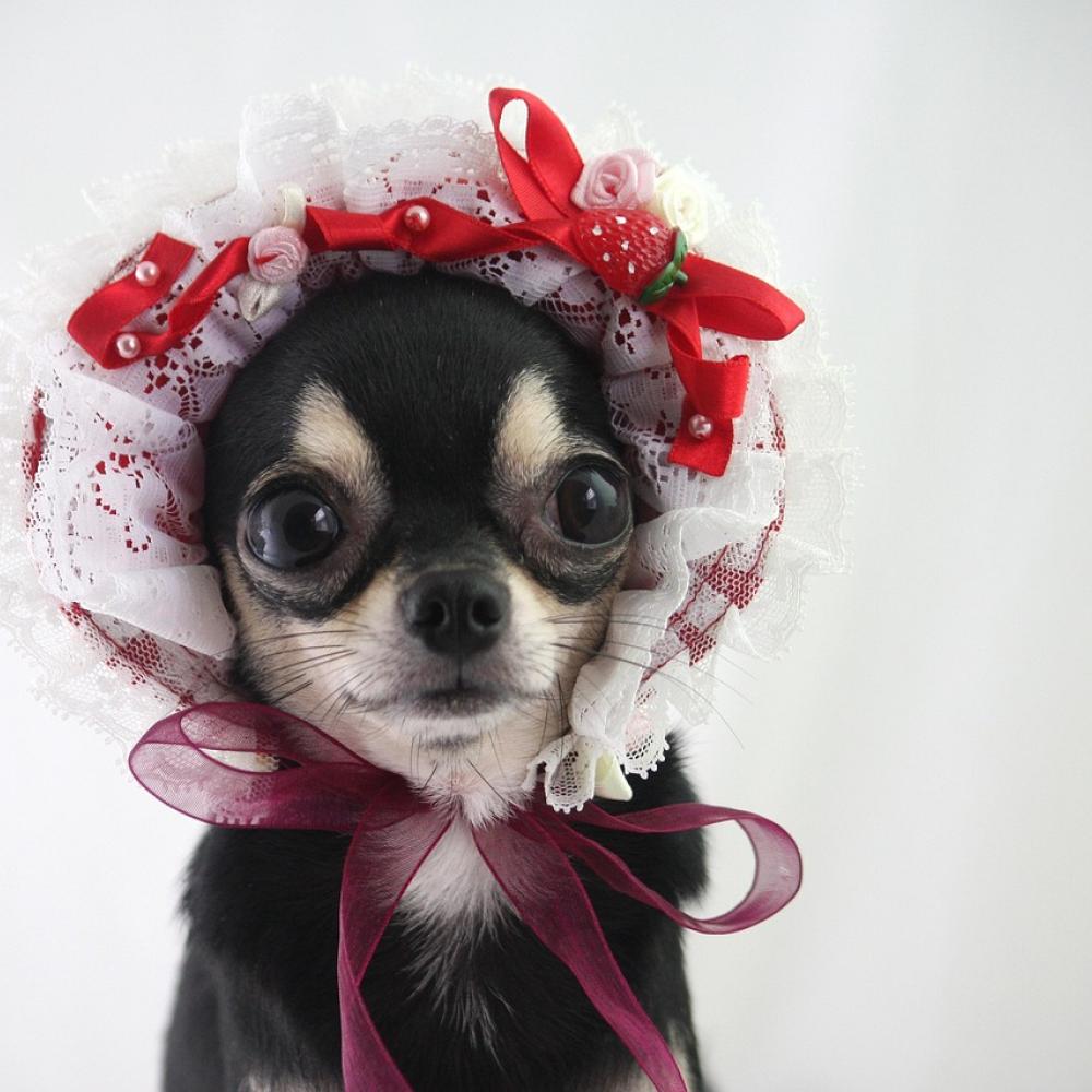 Custom Pet Urns